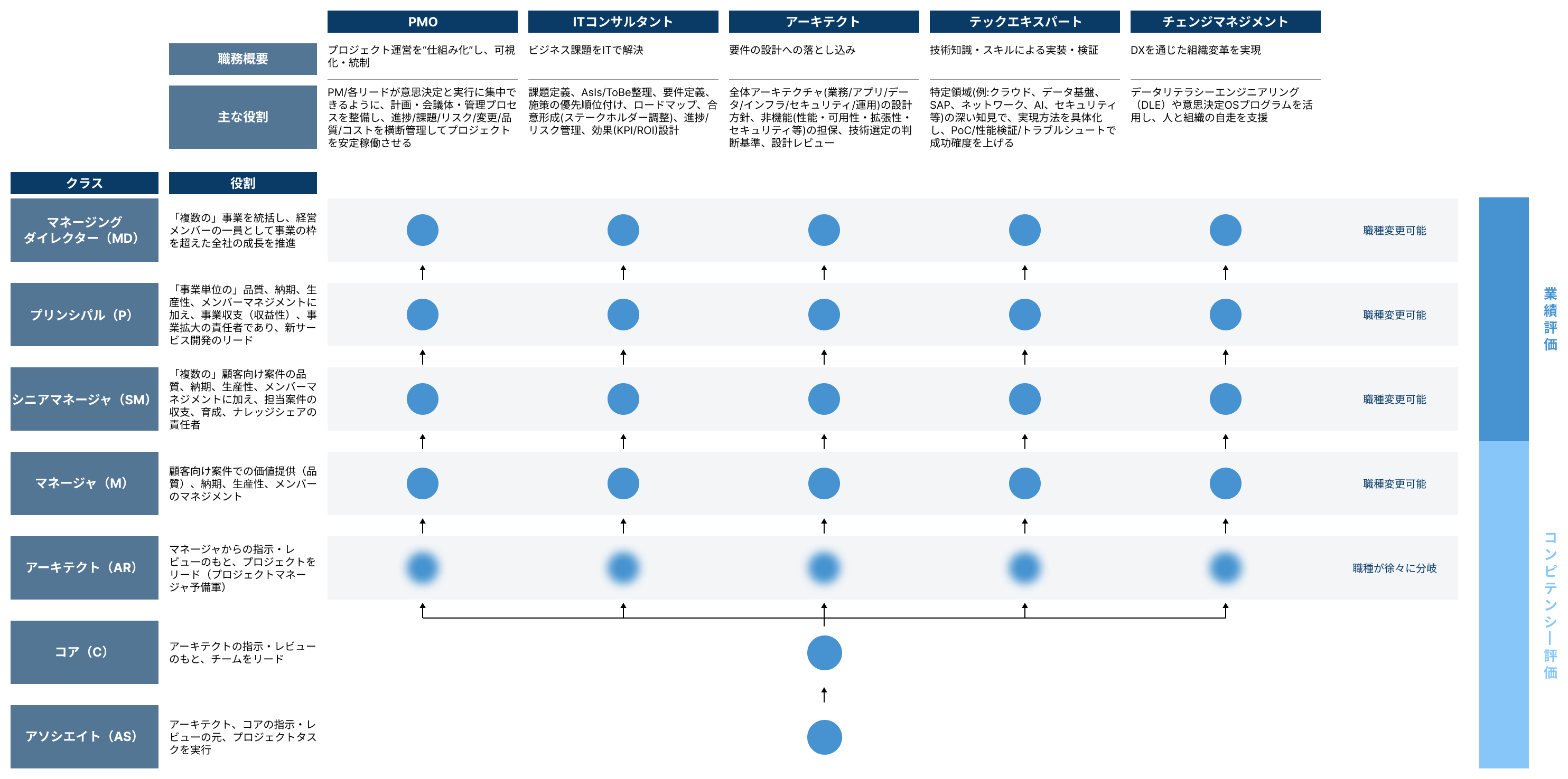 キャリアパス全体概要