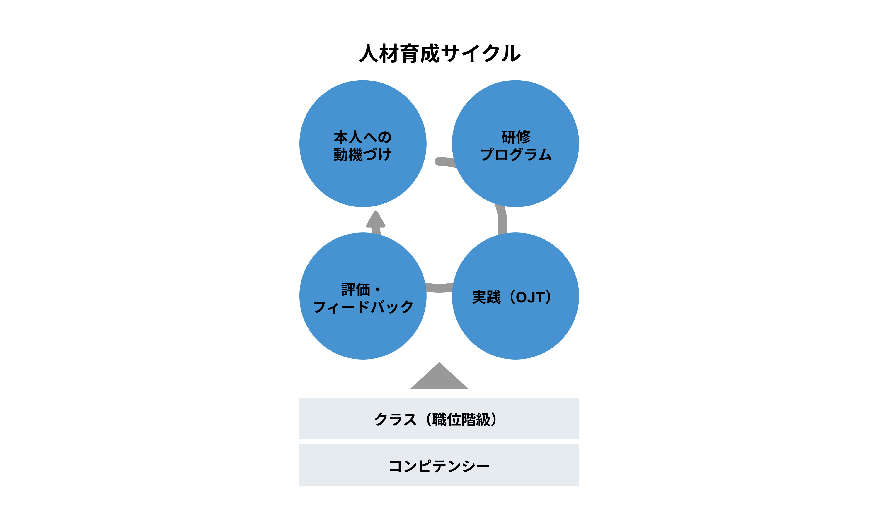 人材育成サイクル：本人への動機づけ／研修プログラム／実践（OJT・1on1）／評価・フィードバック