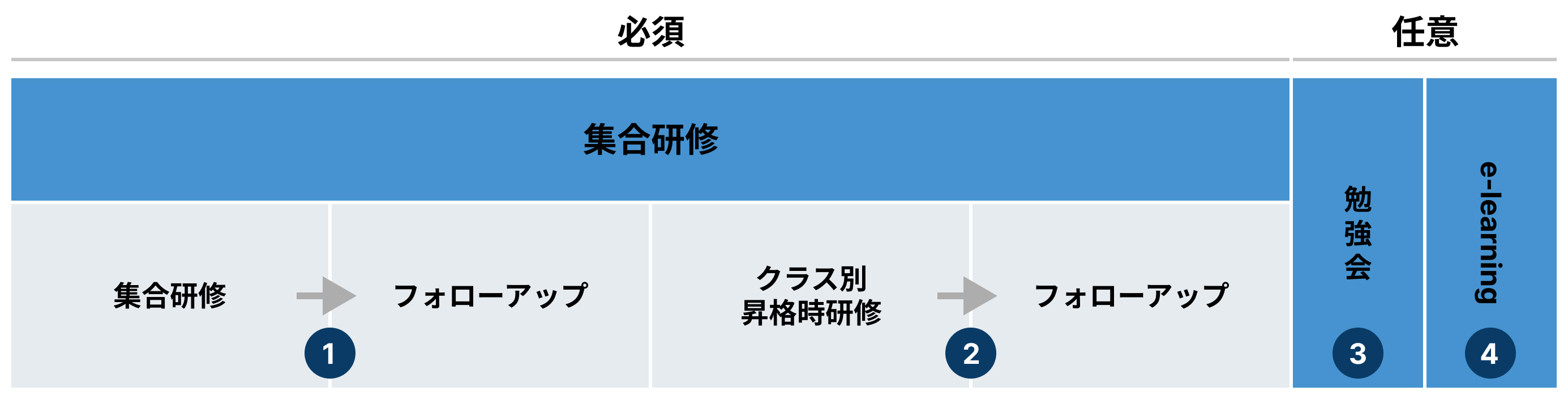 研修体系の概念図